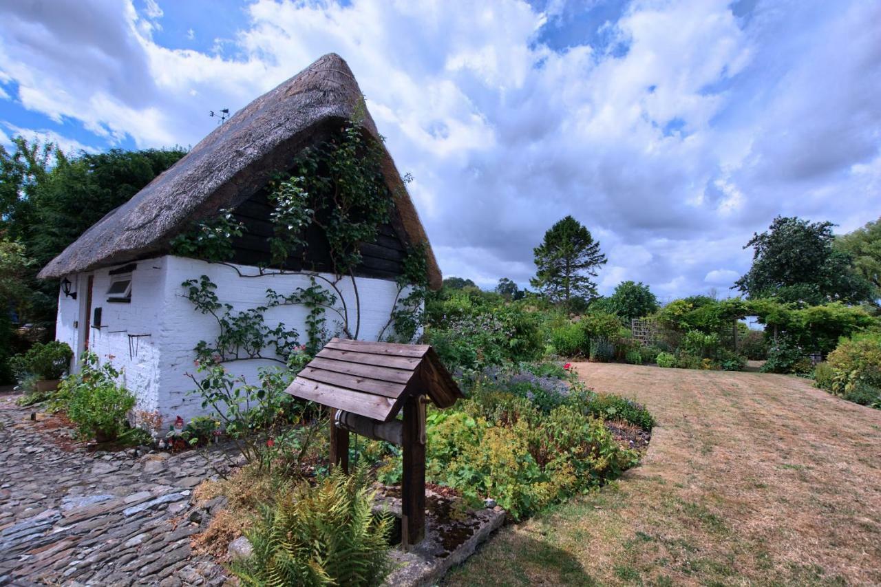 Stable Cottage 迪韦齐斯 外观 照片